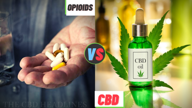 CBD news 84% of users believe that CBD can replace drugs to relieve pain!