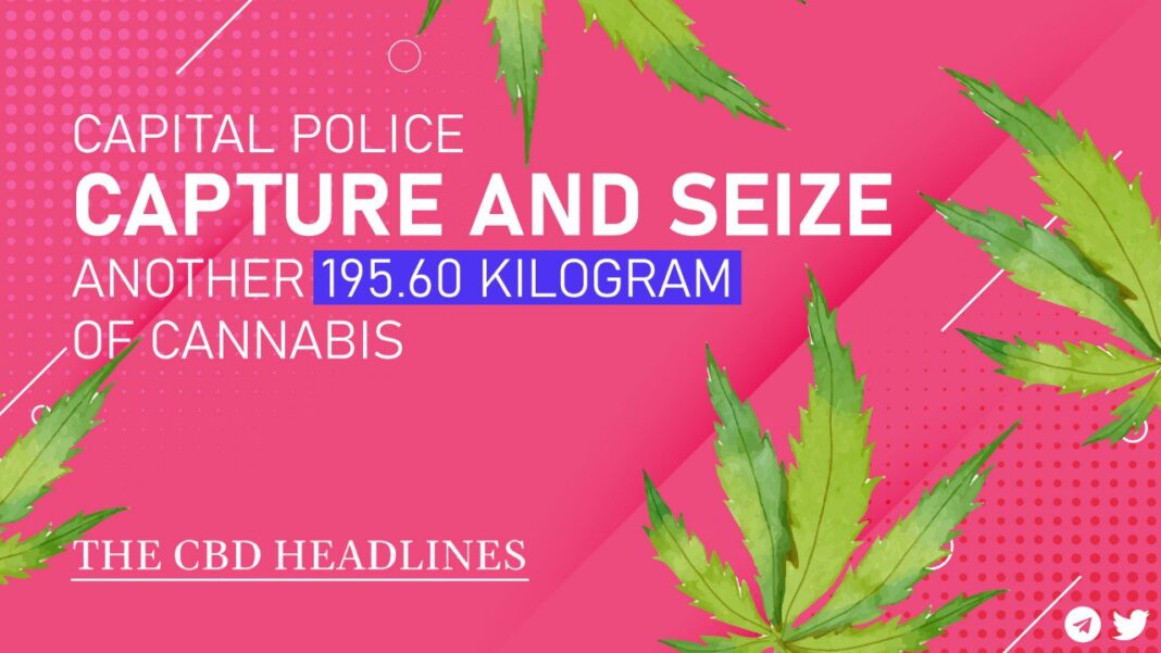 Police in the capital seized 195.60 kilograms of marijuana.