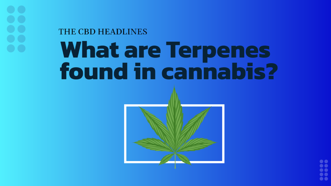 Terpenes found in cannabis